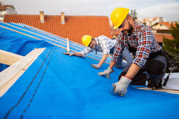 Best Solar Panel Roofing Installation  in Roslyn Estates, NY
